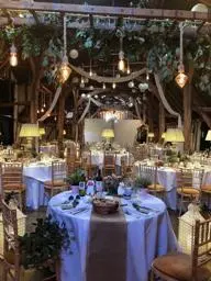Round table with flowers and wine set on the table. Hanging lights and plants from the ceiling. 