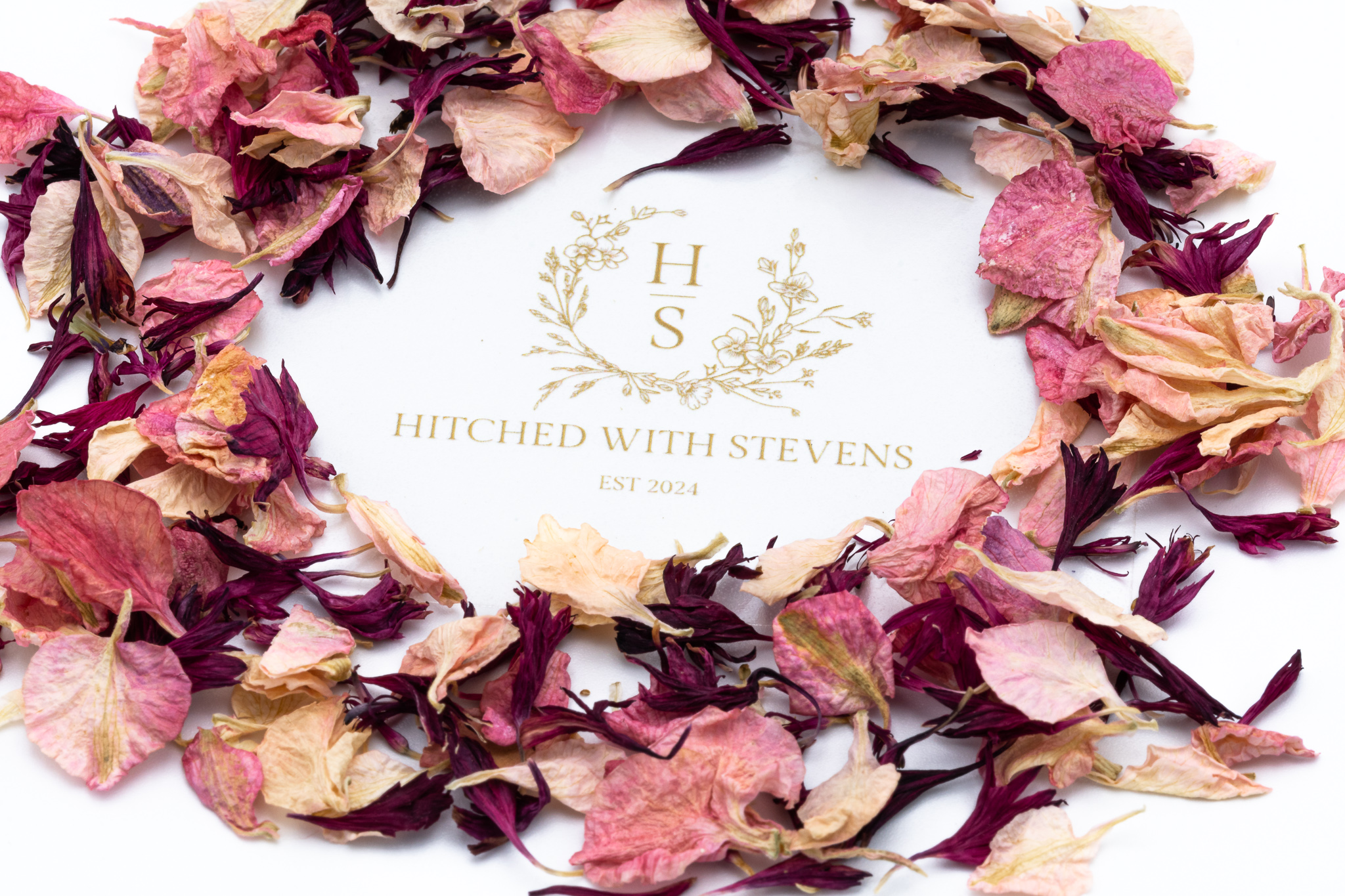 Red and pink leaf confetti in circle around logo