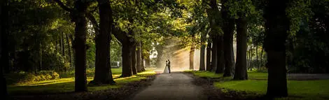 Couple in beautiful tree lined avenue with sunshine