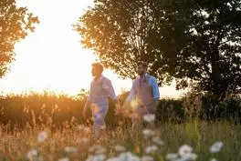 Two grooms holding hands in a meadow at sunset