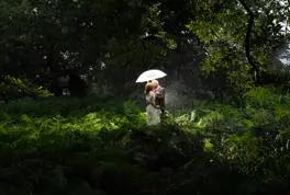 Senior couple in the forest kissing in the rain with groom holding a white umbrella
