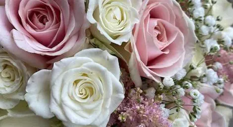 Bridal bouquet pink and white roses with some greenery